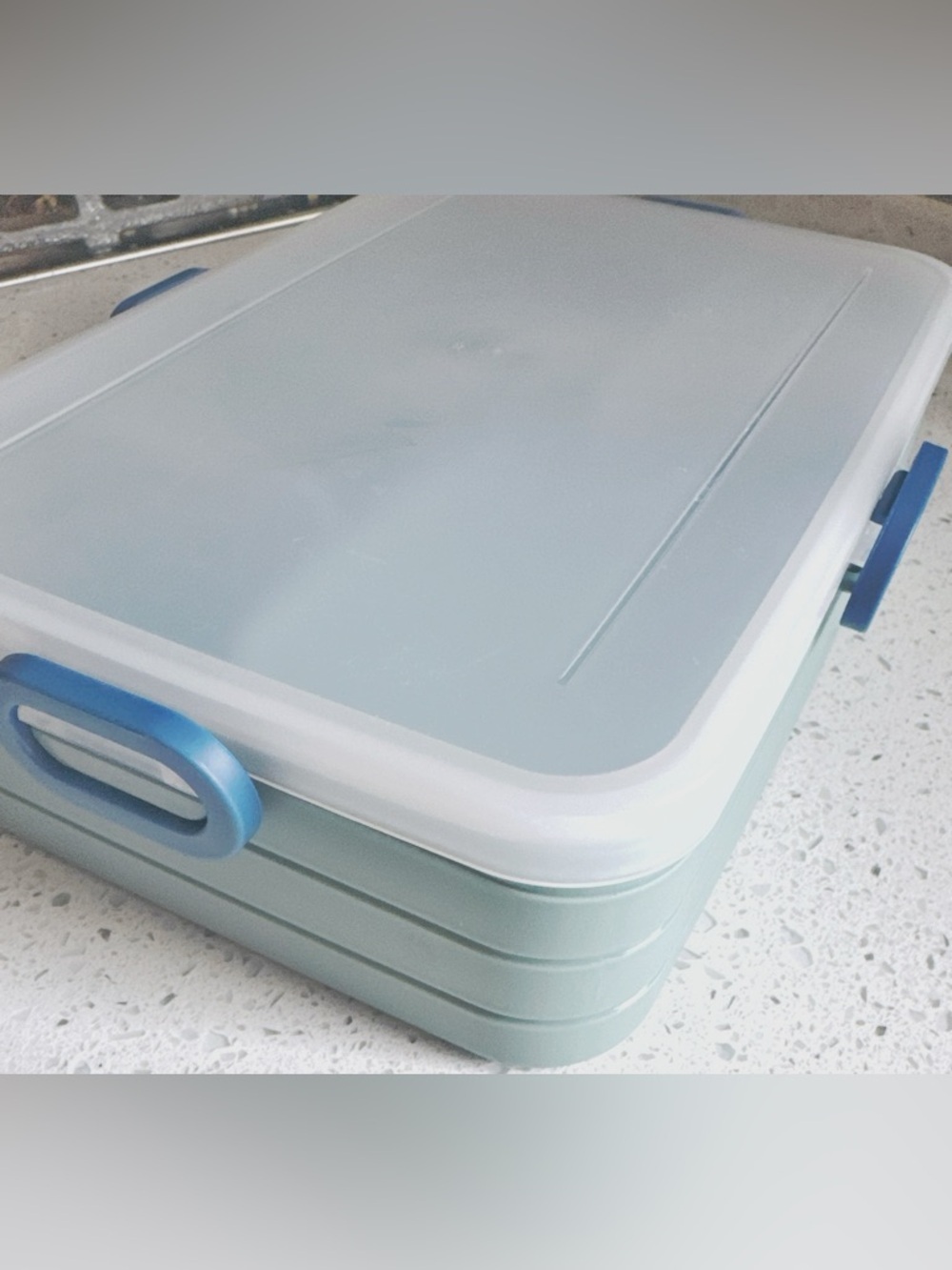 Bento Lunch Box Snack Container Multi Compartment Organizer Blue Portable